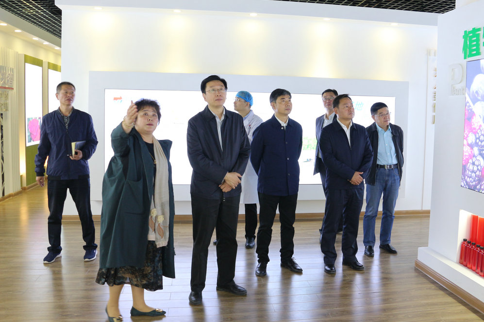 2020年11月2日省政府食安辦副主任，省市場監(jiān)督管理局副局長王建防到公司調(diào)研指導(dǎo)工作.JPG
